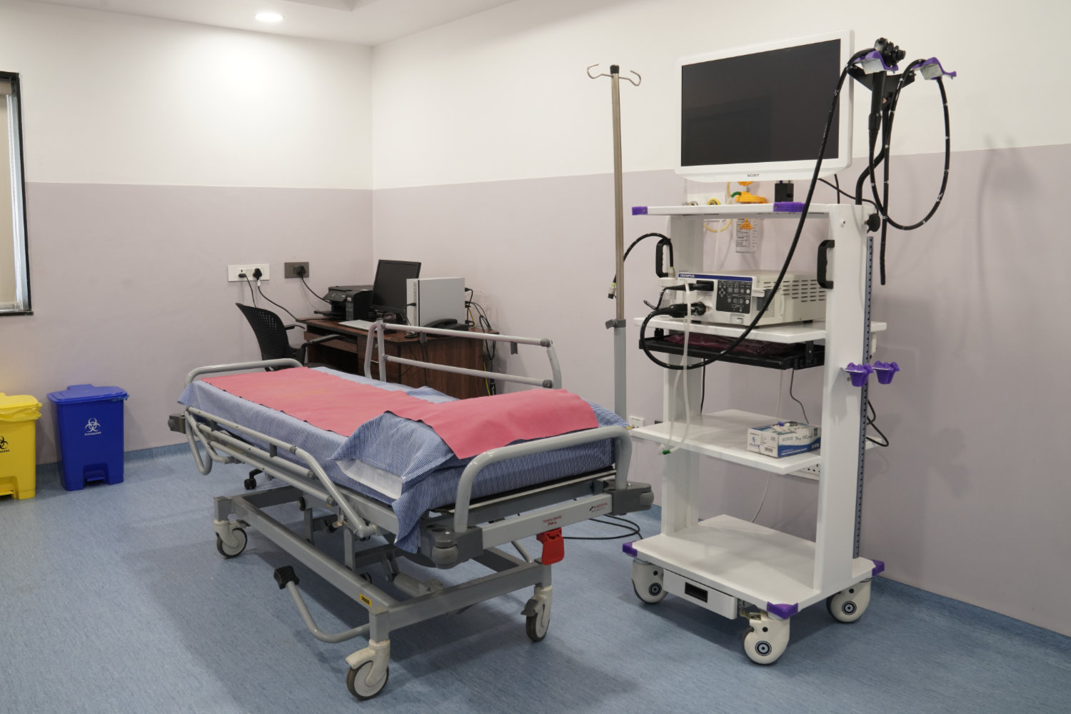 Endoscopy